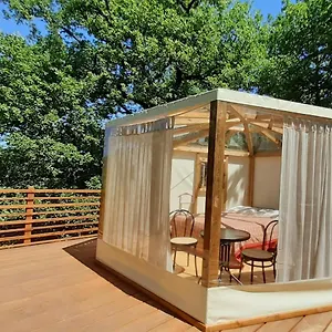Glamping Hexagon 